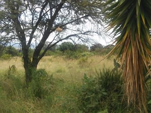 12.4 ha Land available in Donkerhoek