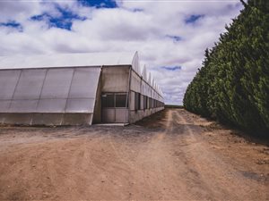 21.6 ha Farm in Vredendal