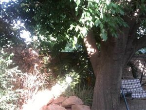 3 Bed House in Geduld