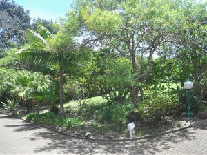 416 m² Land available in Shelly Beach