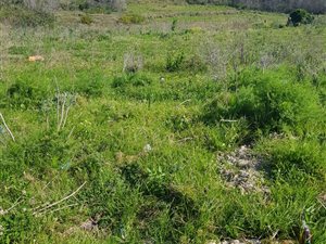 4935 m² Land available in Pacaltsdorp
