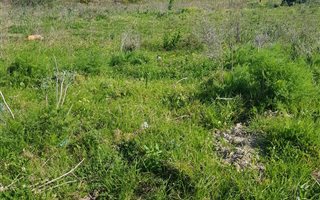 4935 m² Land available in Pacaltsdorp