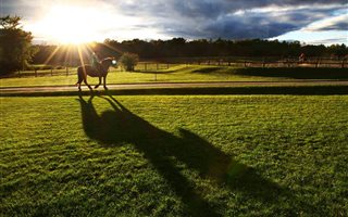 1.4 ha Land available in Blue Hills Equestrian Estate