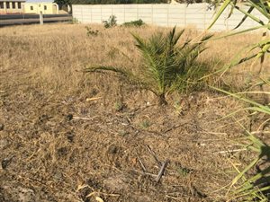 476 m² Land available in Hopefield