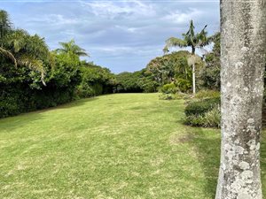 4 Bed House in Southbroom