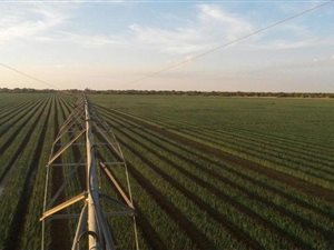 5327 ha Farm in Springbok