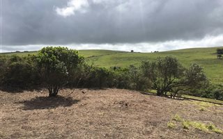 903 m² Land available in Cannon Rocks