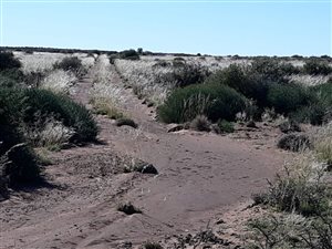 7066 ha Farm in Brandvlei