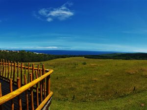 63.6 ha Farm in Herolds Bay