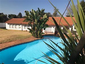 1 Bed Apartment in Windsor Glen