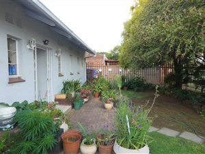 3 Bed House in Northmead