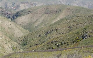 639 ha Farm in Uitenhage Central