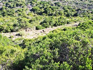 800 m² Land available in Pinnacle Point Golf Estate