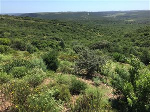 24 ha Farm in Bathurst and Surrounds