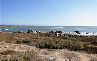 1667 m² Land available in Duyker Eiland