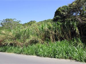 1012 m² Land available in Marburg