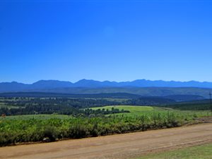 Bachelor apartment in Plettenberg Bay