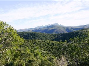 498 ha Farm in Hankey