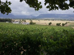 40 ha Farm in Franschhoek