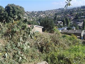 320 m² Land available in Inanda