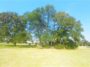 8.5 ha Farm in Zesfontein AH