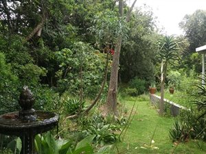2 Bed Garden Cottage in Kelvin