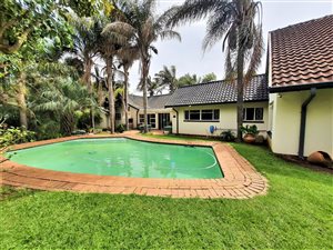 7 Bed House in Nimrod Park