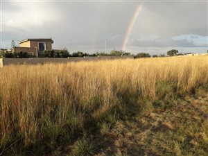 1082 m² Land available in Vaaloewer