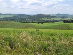 205 ha Farm in Empangeni