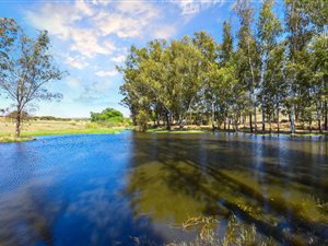 5345 m² Land available in Monaghan Farm