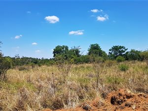 975 m² Land available in Roodeplaat