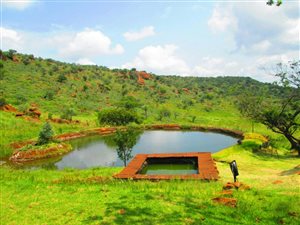 136.2 ha Farm in Dullstroom