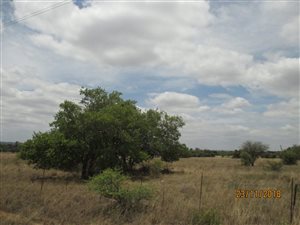 8.5 ha Land available in Pyramid