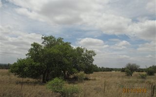 8.5 ha Land available in Pyramid