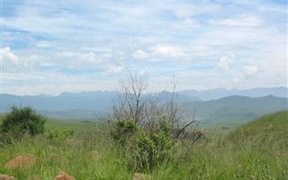 81 ha Farm in Underberg