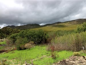 5008 m² Land available in Tesselaarsdal