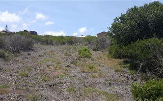 1012 m² Land available in Dana Bay