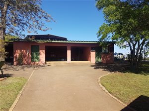 145 ha Farm in Ashburton