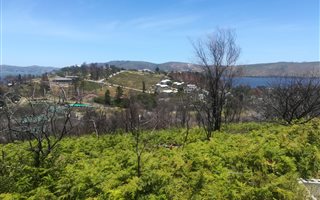 5481 m² Land available in Narnia