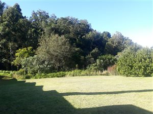 1258 m² Land available in Panorama