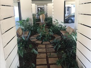 2 Bedroom Apartment in Hillcrest