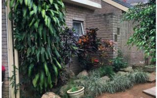 3 Bedroom House in Sydenham