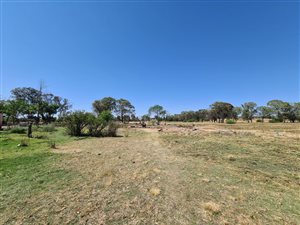 4.3 ha Smallholding in Bloemspruit