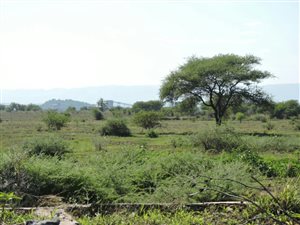 29.9 ha Land available in Marikana