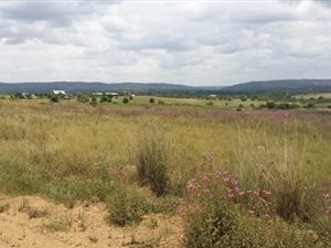 4.3 ha Land available in Mooiplaats AH