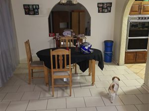 3 Bed House in Songloed