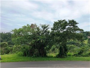 2548 m² Land available in Crestholme