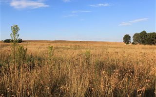 2 ha Land available in Drumblade AH
