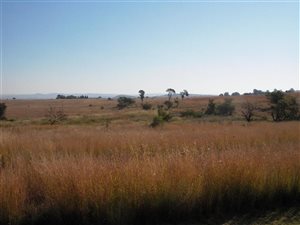 10.9 ha Land available in Doornrandje