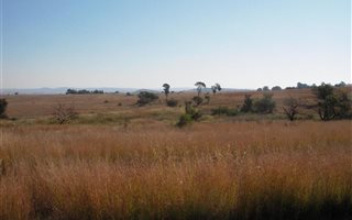 10.9 ha Land available in Laezonia